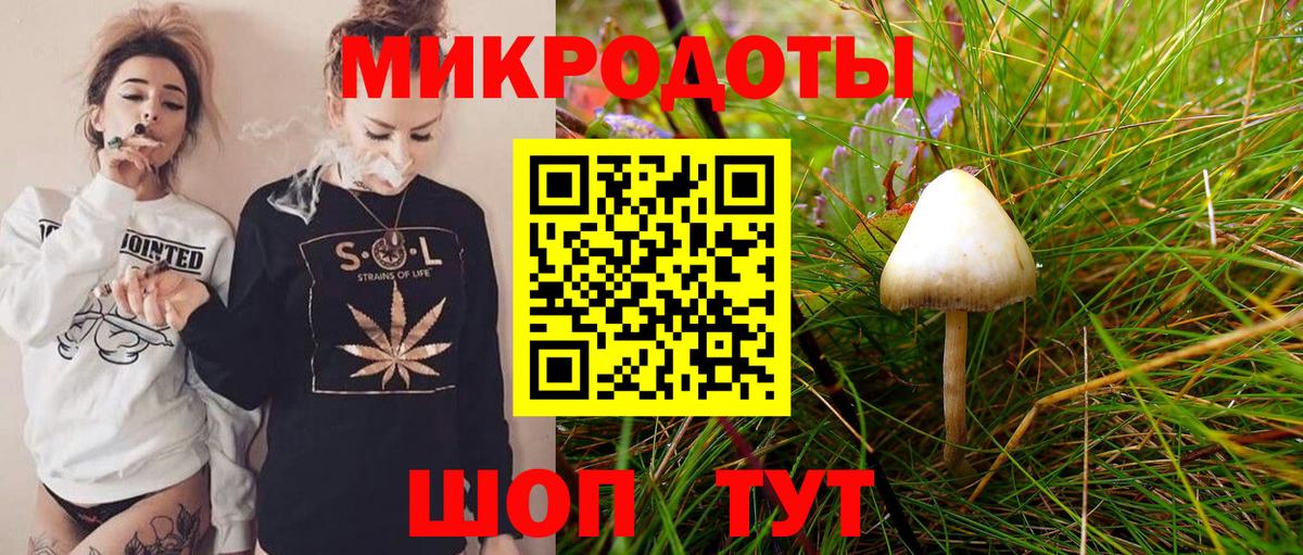 Галлюциногенные грибы Magic Shrooms  Псилоцибиновые грибы Psilocybe  Вход с VPN  Ливны 